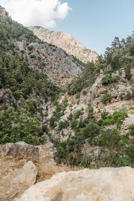 SAMARIA GORGE Full-Day Trip From CHANIA - Detailed Itinerary