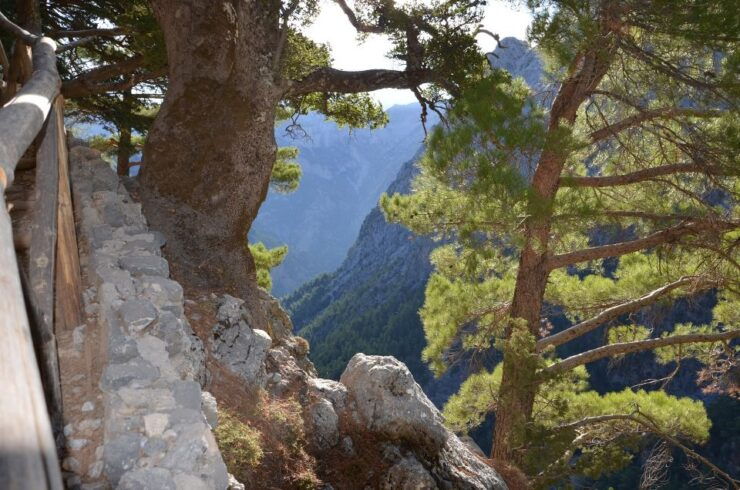 Samariá Gorge Hike: Day Excursion From Chania - Experience Highlights of the Hike