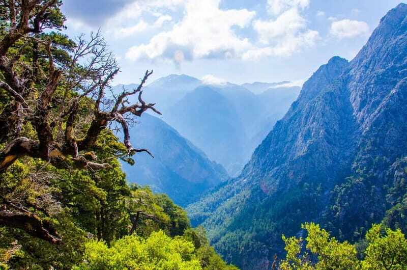 Samaria Gorge : Private Full-Day Guided Experience - Unpacking the Full Experience: What You’ll Encounter