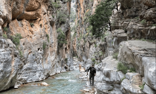 Samaria Gorge Private Tour - Wildlife and Scenic Views