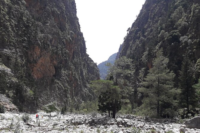 Samaria Gorge Transfer From Chania (Price per Group of 6) - Overview and Logistics