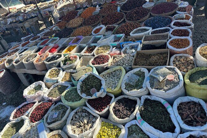 Samarkand Day Trip from Tashkent - A Closer Look at the Samarkand Day Trip Experience