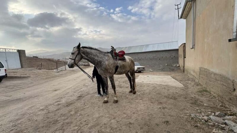 Samarkand: Horseback Riding Tour with Pickup and Drop-off - Good To Know