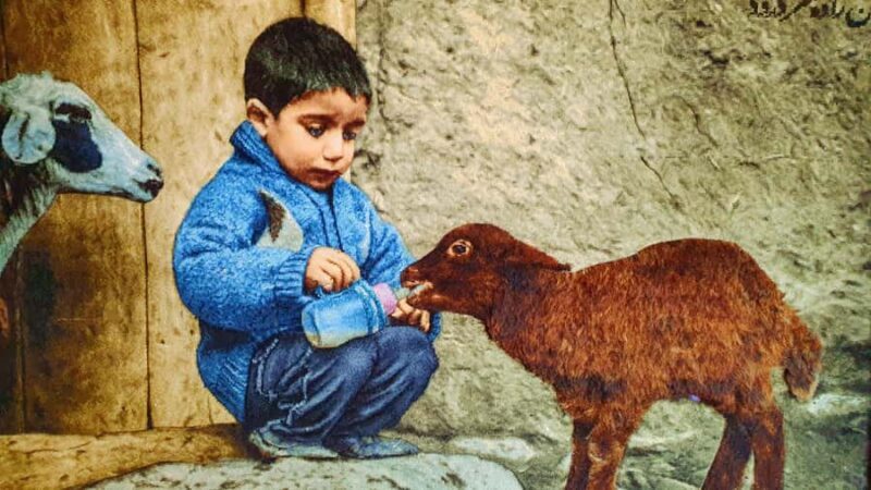 Samarkand Local Lifestyle & Food Experience - An In-Depth Look at the Experience