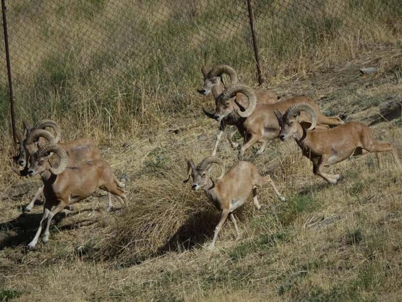Samarkand: Nurota 2-day Horseback Riding & Village Tour - Authentic Experiences You’ll Cherish