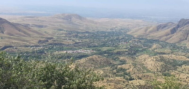 Samarkand: Shakhrisabz, Ak Saray, a symbol of love - Who Is This Tour Best For?