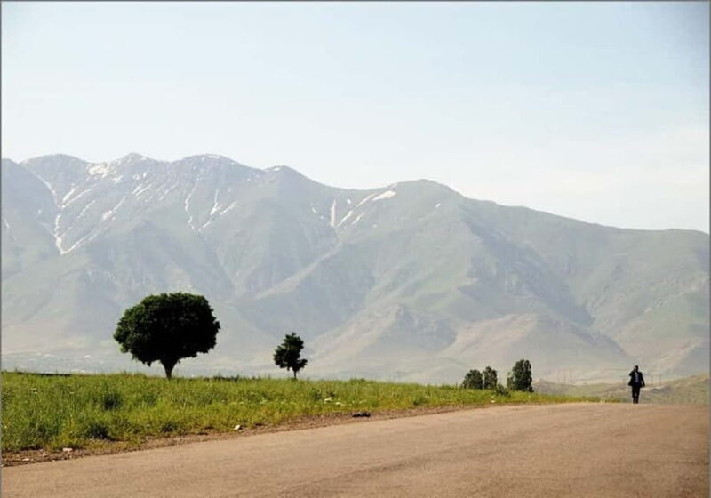 Samarkand - Shakhrisabz - Bukhara One Day Trip - Who Should Consider This Tour?