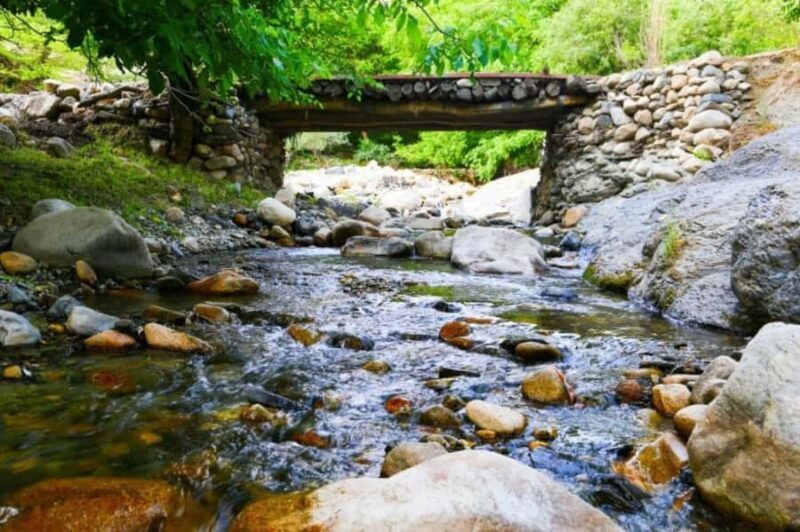 Samarkand: Tandoor Bread & Somsa Cooking +Countryside Picnic - Final Thoughts