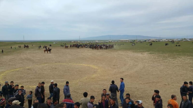 Samarkand: Uloq-Kopkari (Buzkashi) Game Day Tour - Who Is This Tour Perfect For?