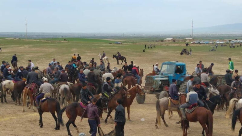 Samarkand: Uloq-Kopkari (Buzkashi) Game Day Tour - Good To Know