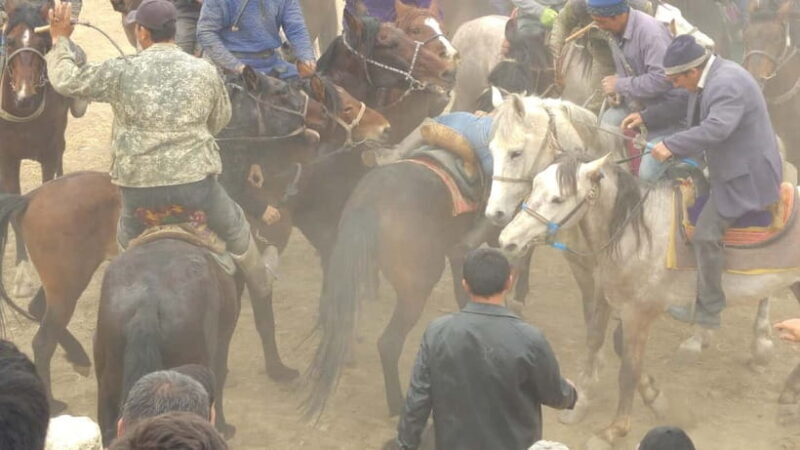 Samarkand: Uloq-Kopkari (Buzkashi) Game Day Tour - Who Will Love This Tour?