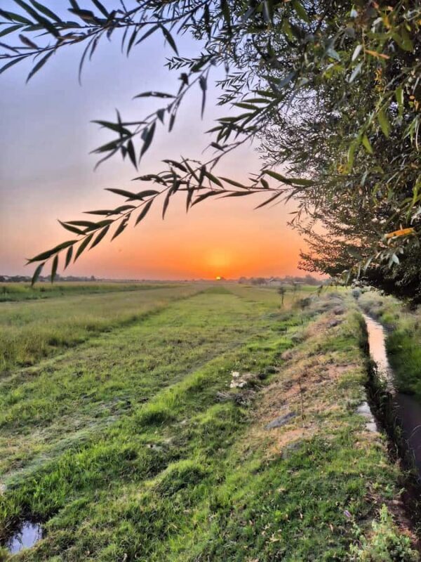 Samarkand: Village Tour with Homemade Dinner & Milking a Cow - Exploring the Heart of Uzbekistan: Samarkand’s Village Tour with Homemade Dinner & Milking a Cow