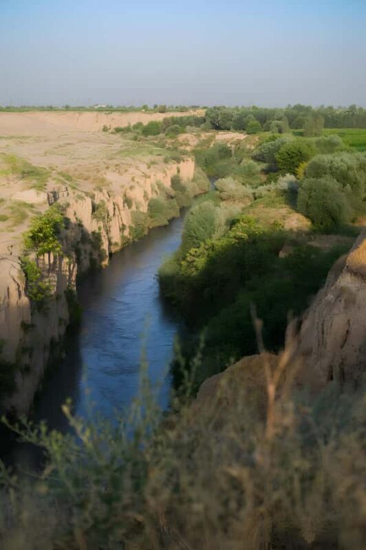 Samarkand: Village Tour with Homemade Dinner & Milking a Cow - Good To Know