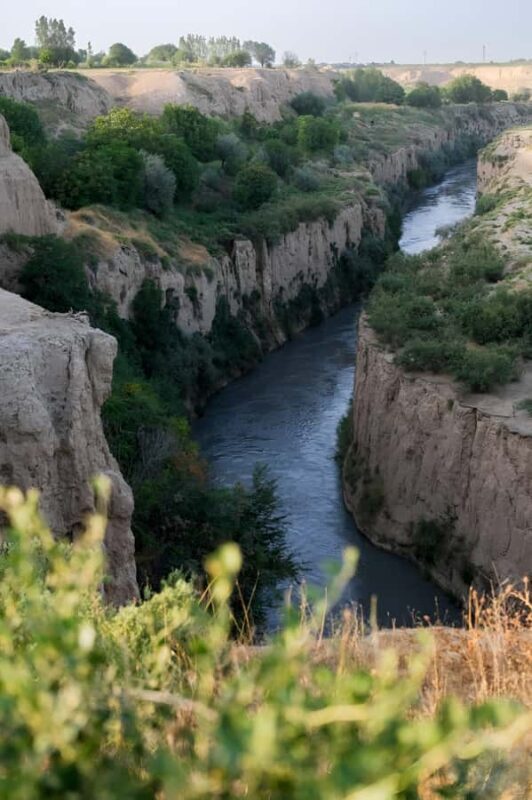 Samarkand: Village Tour with Homemade Dinner & Milking a Cow - An Authentic Glimpse into Uzbek Village Life