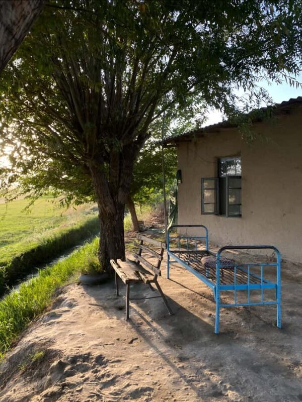 Samarkand: Village Tour with Homemade Dinner & Milking a Cow - A Homestyle Uzbek Dinner