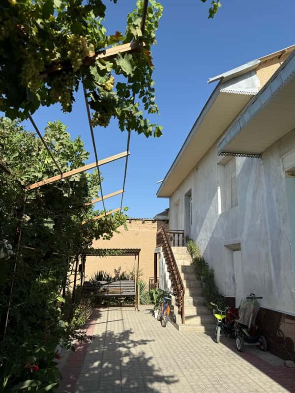 Samarkand: Village Tour with Homemade Dinner & Milking a Cow - Final Thoughts