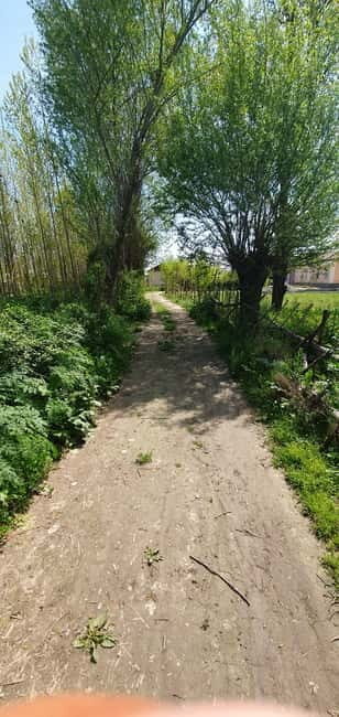 Samarkand: Village Tour with Plov Cooking Class & Home Visit - Sharing a Traditional Meal