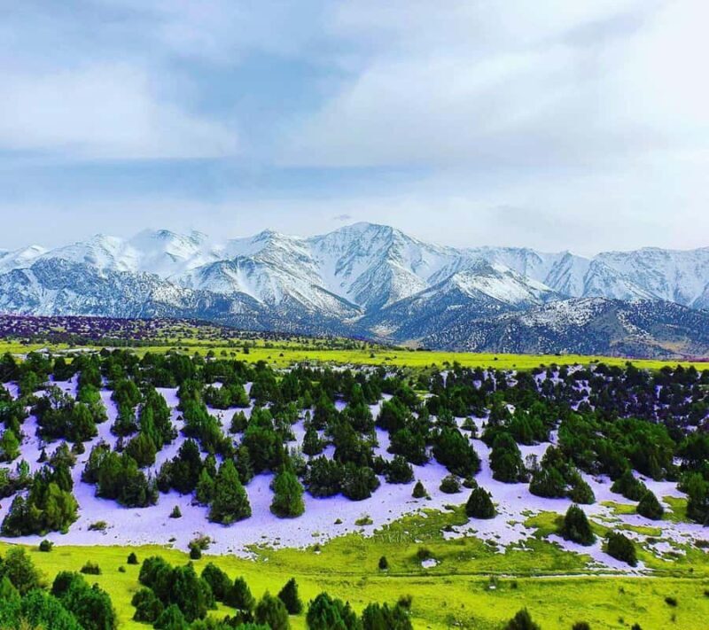 Samarkand: Zomin National Park Day Trip with Guide - Authentic Encounters and Expert Guides