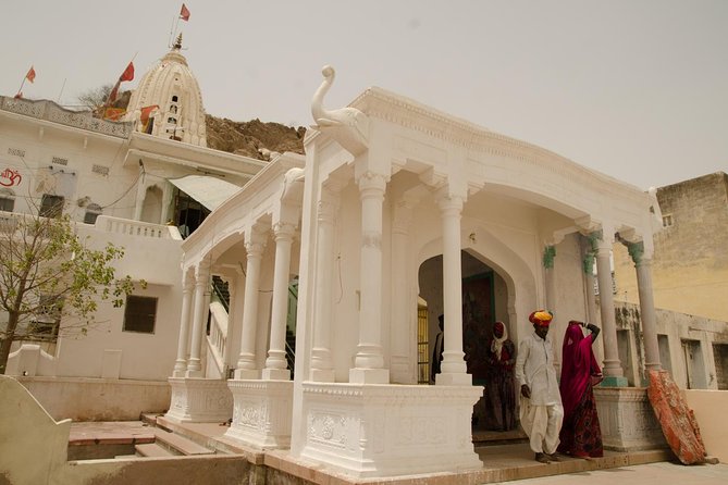 Sambhar Private Day Trip From Jaipur - Tour Overview