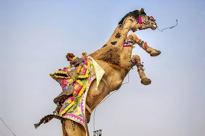 Same Day Ajmer-Pushkar Tour Through AC Car" - Itinerary Overview