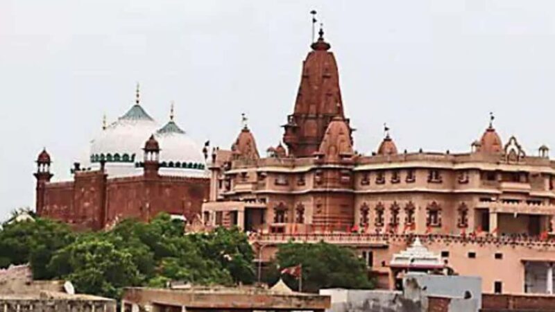 Same Day Mathura Vrindavan Tour from Delhi - Who Is This Tour Best For?