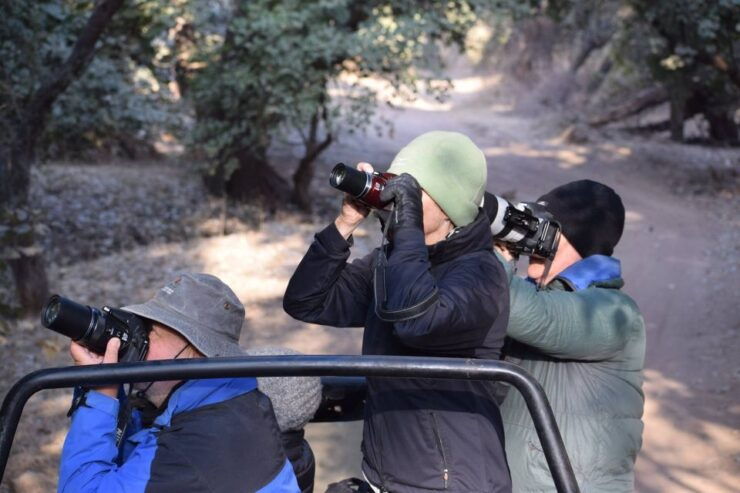 Same Day Ranthambhore WildLife Tour From Jaipur - Good To Know