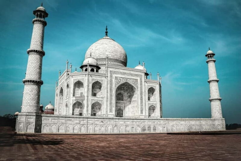 Same day Taj mahal & Agra Fort Tour with Elephant Sanctuary - The Wildlife Sanctuary Experience