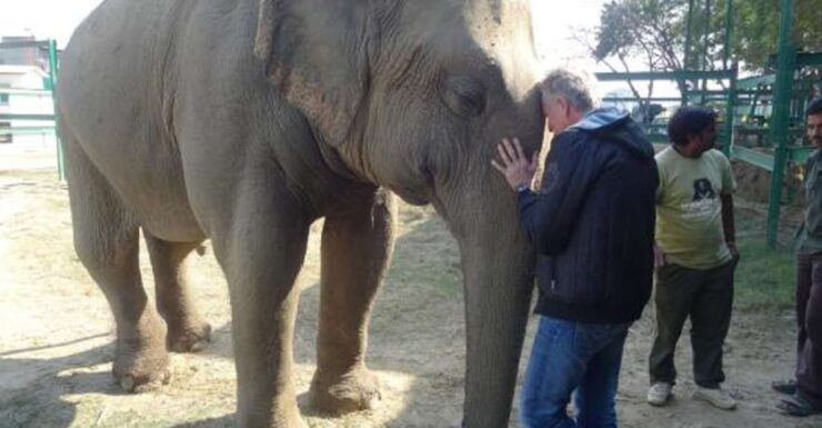 Same Day Tajmahal Tour With SOS Elephant/Bear Sanctuary - Cancellation Policy