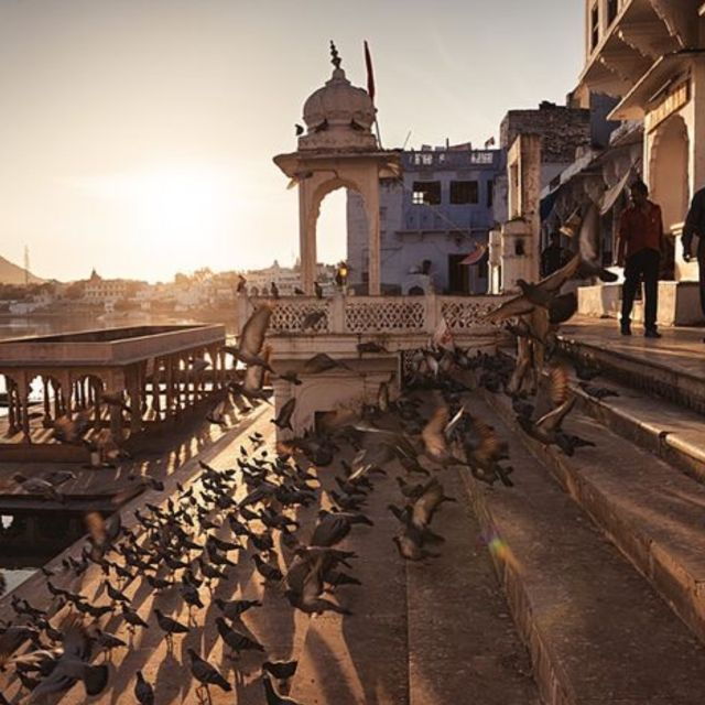 Same Day Tour to Pushkar From Jaipur - Self-Guided Day Trip - The Pushkar Experience