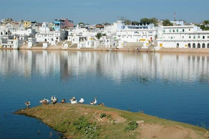 Same Day Tour to Pushkar From Jodhpur With Private Transports - Pricing and Guarantee
