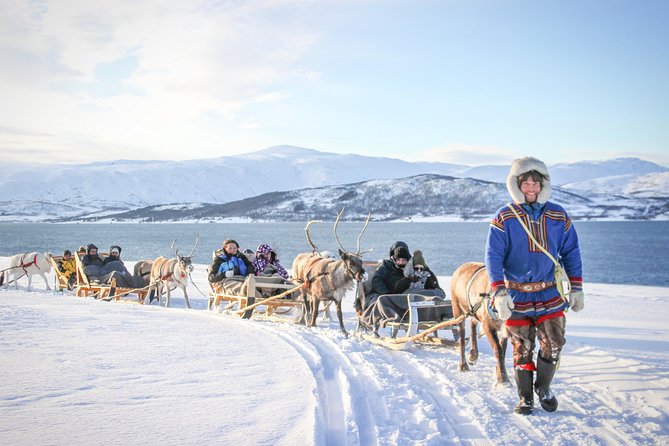 Sami Culture and Short Reindeer Sledding From Tromso - Tour Overview and Experience