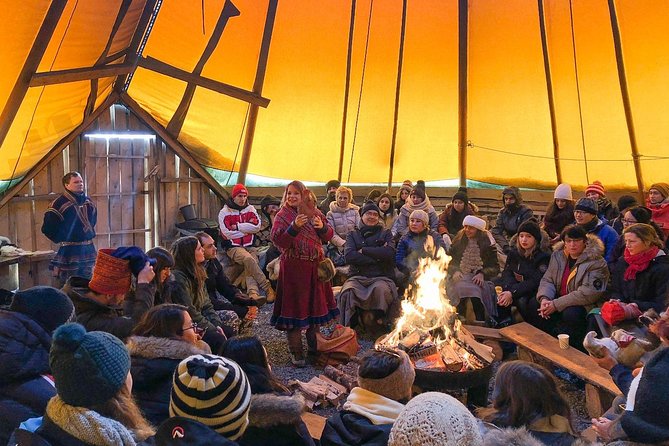 Sami Culture and Short Reindeer Sledding From Tromso - Reindeer Feeding and Interaction