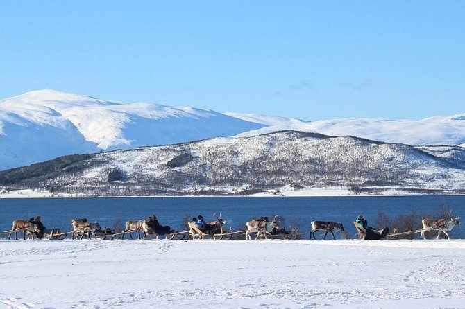 Sami Culture and Short Reindeer Sledding From Tromso - Lunch and Refreshments