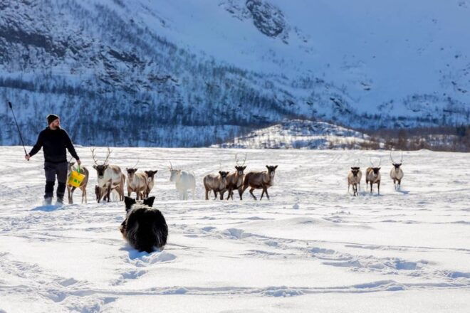 Sami Reindeer Experience - Inclusions and Amenities