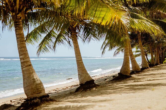 Samoa Upolu: Full Day Private Tour - Good To Know