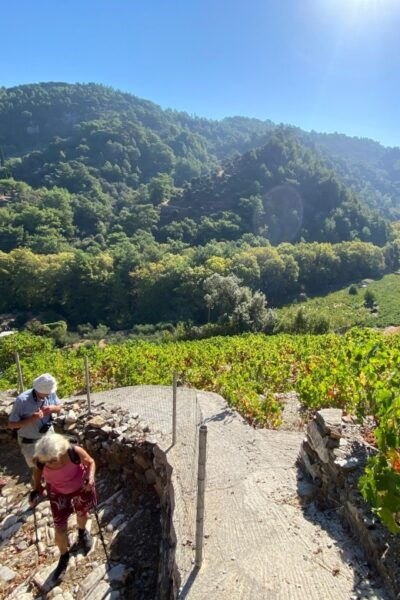 Samos: Full-Day Private Sightseeing Tour - The Sum Up