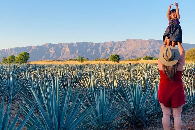 Sample Tequila in Its Namesake Town of Jalisco on This Tour.  - Guadalajara - Cancellation Policy