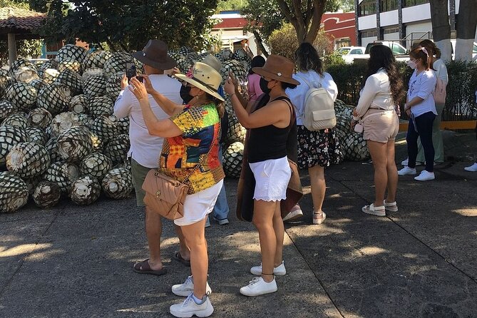 Sample Tequila in Its Namesake Town of Jalisco on This Tour.  - Guadalajara - Questions and Information