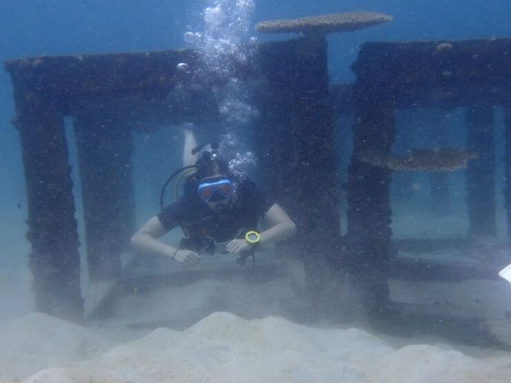 Samui: 2 Days - Advance Adventurer Program - Program Overview