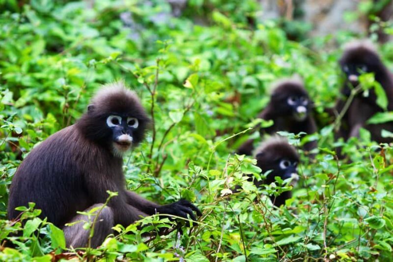 Samui: Angthong National Marine Park Day Trip by Speedboat - The Review from Travelers: Authentic Insights