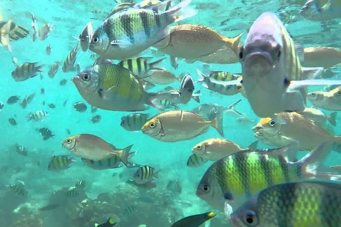 Samui Boat Charter, Private Speedboat Charter, Angthong National Marine Park - Additional Resources for Inspiration