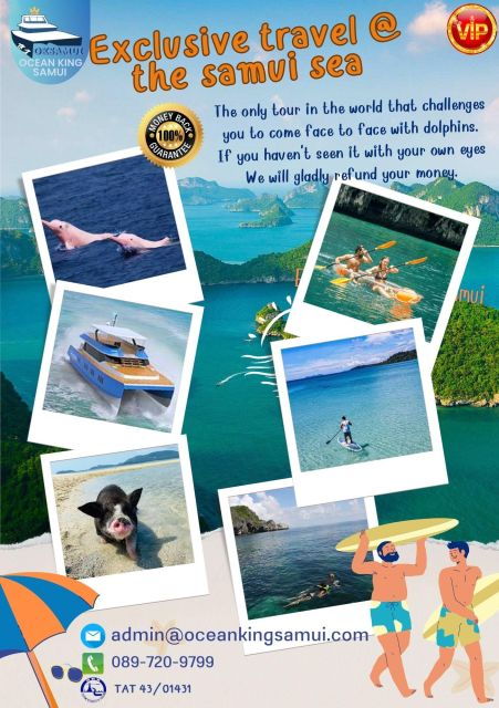 Samui Dolphins Tour by Catamaran Yacht - Booking Details