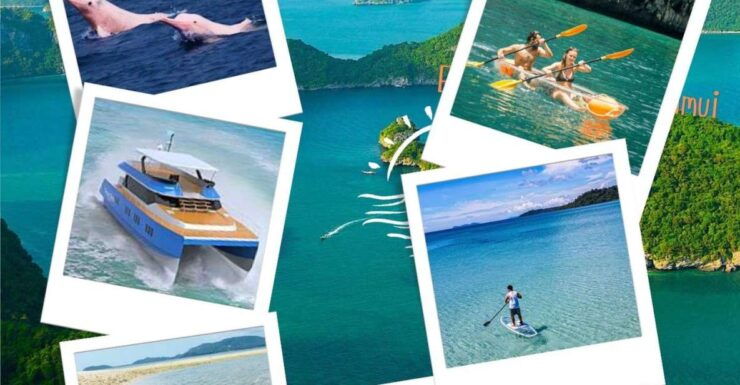Samui Dolphins Tour by Catamaran Yacht - Activity Experience
