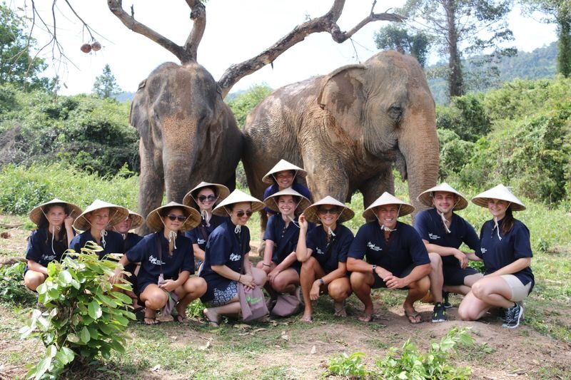 Samui Elephant Home Half Day Caring Experience - A care-focused morning at Samui Elephant Home