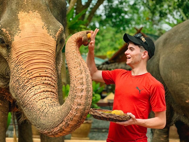 Samui Elephant Home Half Day Caring Experience - The nursery, refreshments, and the video