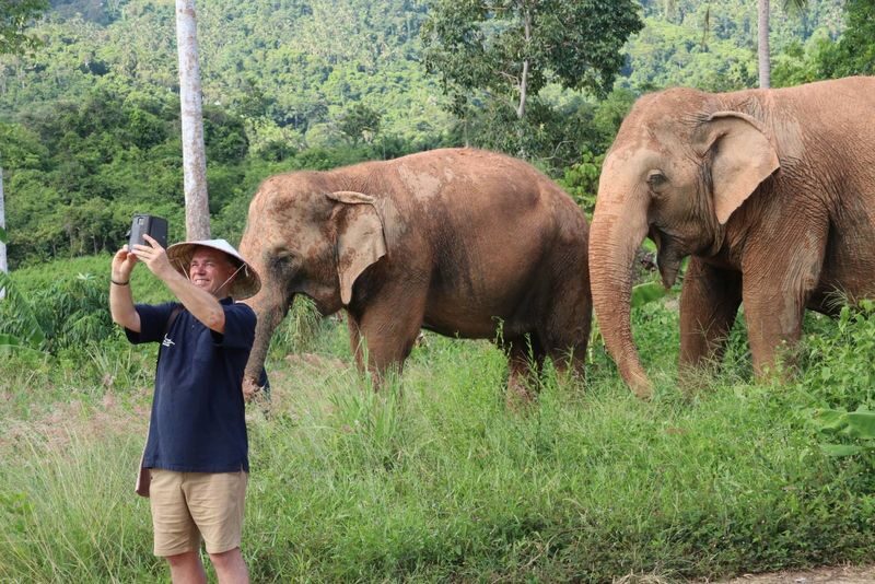 Samui Elephant Home Half Day Caring Experience - Who will get the most from this half-day