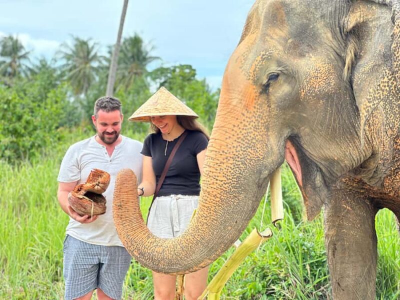 Samui: Elephant Home Sanctuary and the first elephant museum - Good To Know