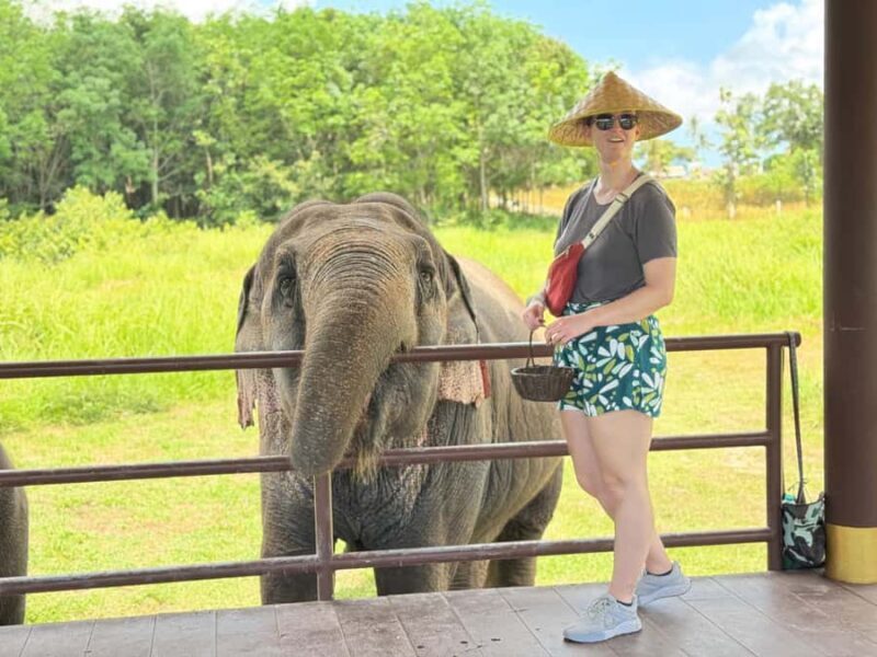 Samui: Elephant Home Sanctuary and the first elephant museum - The Practical Details