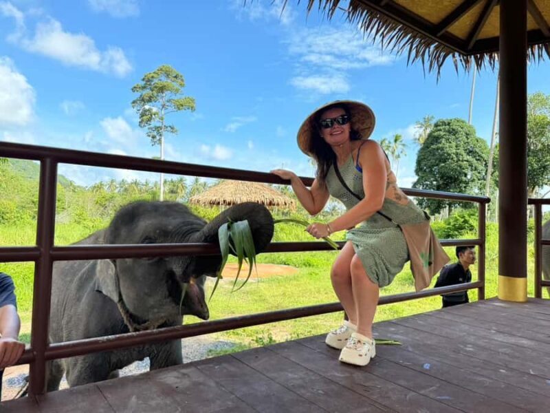 Samui: Elephant Home Sanctuary and the first elephant museum - The Sum Up