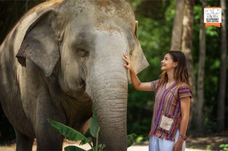 Samui: Elephant Sanctuary Tour - Jungle Walk & Swim - FAQ